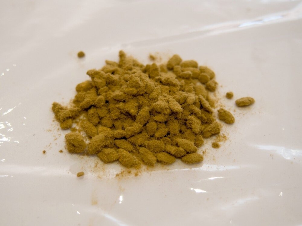 Koji spores Ki-Koji (Aspergillus Oryzae)