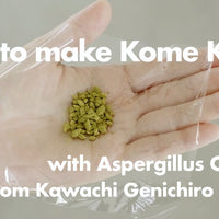Tane Koji spores (A. oryzae) + 13 minutes Rice Koji making video instruction + a guide