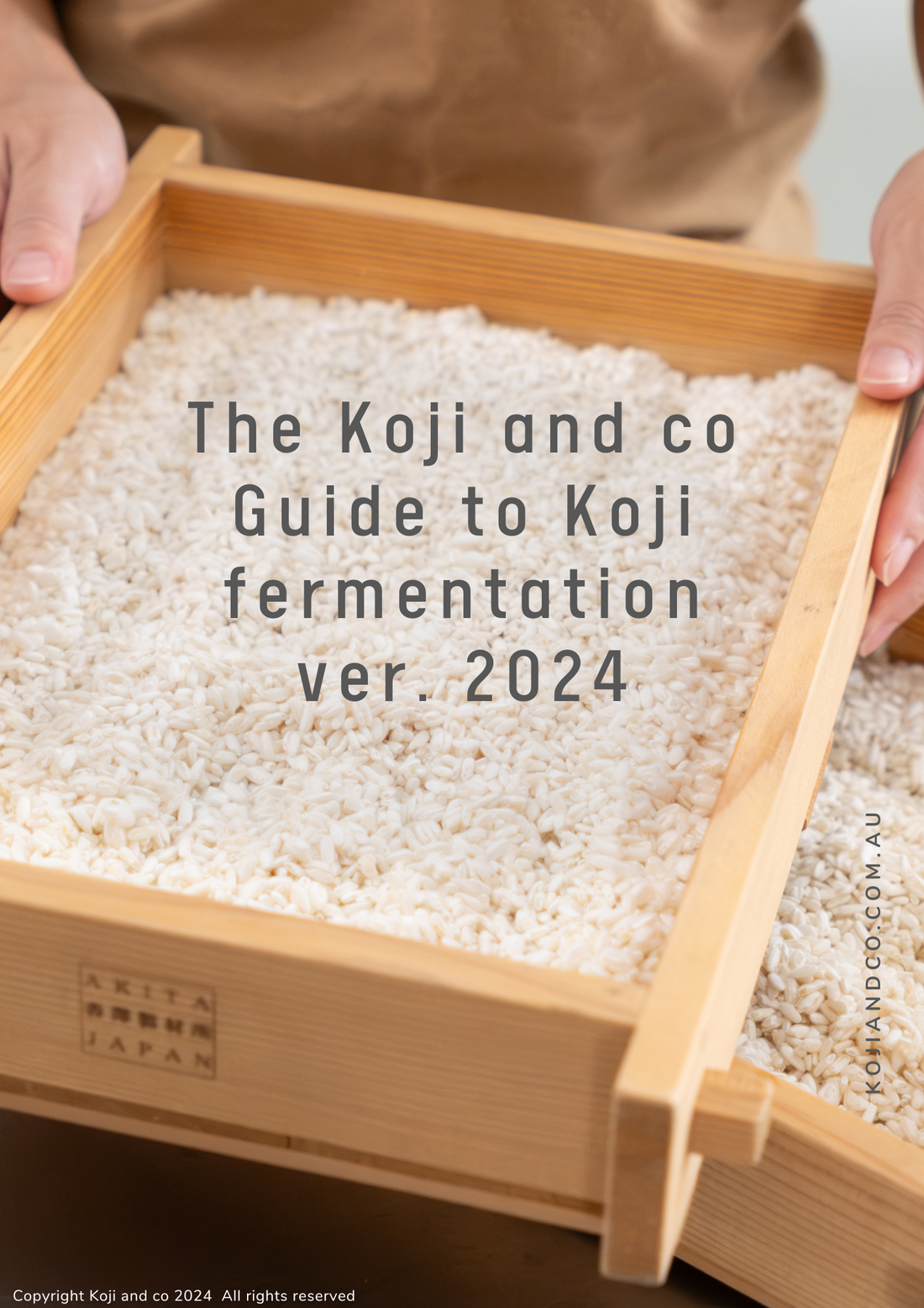 Koji Making Kit