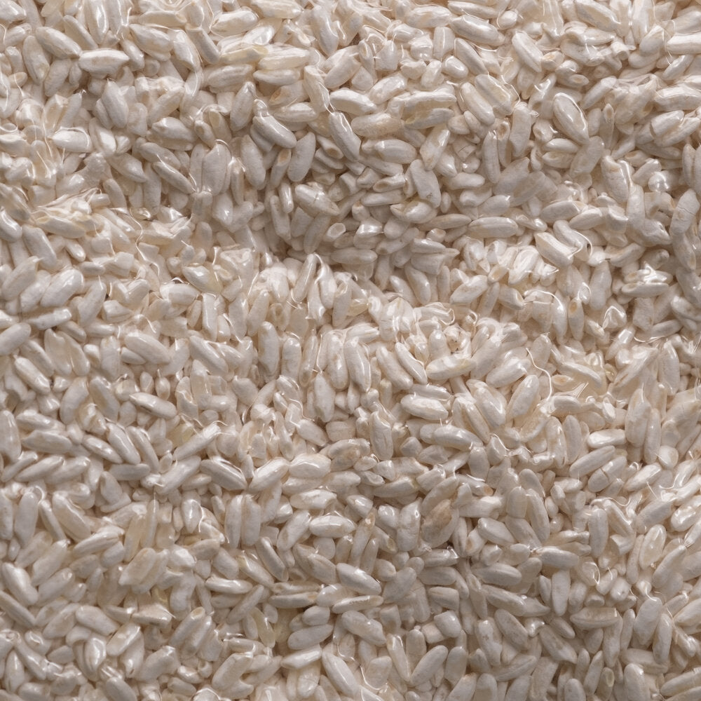 Dried Kome (Rice) Koji - White Citric Koji : Aspergillus Luchuensis Kawachii 200G